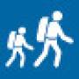 easy_tramping_track.jpg